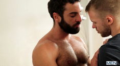 Beard Gay Porn - Bears Gay Porn Videos: Sexual big hairy guys with beards and ...